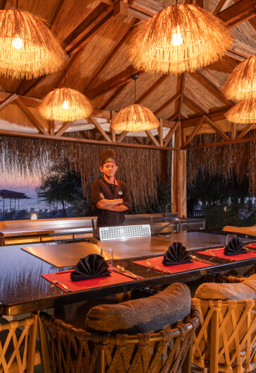 alibey-resort-club-manavgat-gastronomi-kaigan-banner-top-right.jpg?