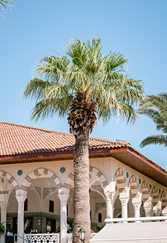 alibey-club-manavgat-ana-restoran-banner-desktop-1.jpg?