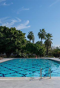 alibey-club-manavgat-yetiskin-havuz-banner.jpg?